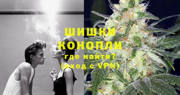 сатива Навашино