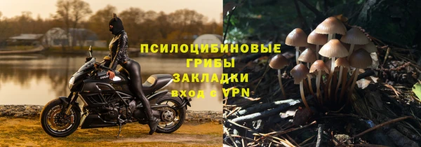 сатива Навашино