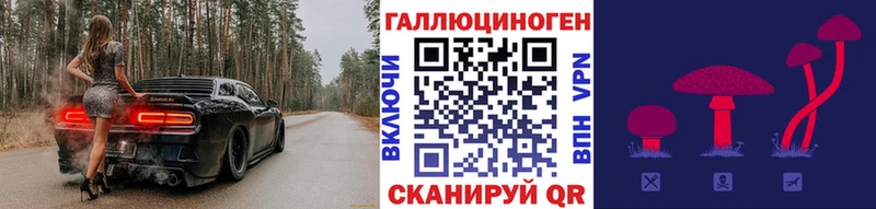 darknet какой сайт  Хасавюрт  Галлюциногенные грибы Magic Shrooms 