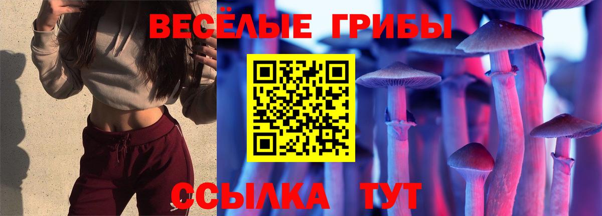 Галлюциногенные грибы Psilocybine cubensis Хасавюрт