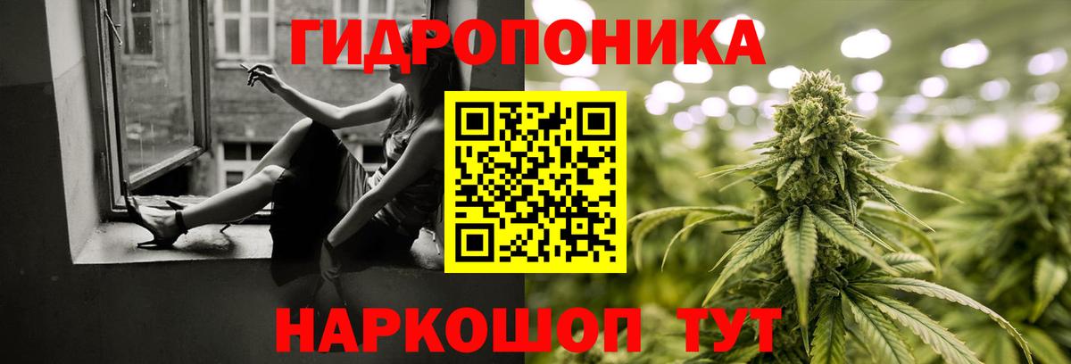 Шишки марихуана планчик  Шишки марихуана марихуана  Хасавюрт  Вход с VPN  Марихуана план 